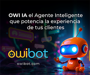 Owibot_Marzo25_300x250