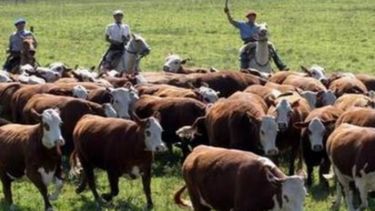 Apuestan a más institucionalidad para solucionar conflictos laborales del campo