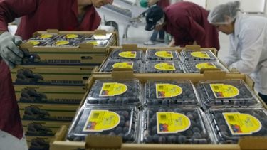 El campo argentino lleva sus productos a Brasil