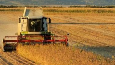 El campo genera el 17% de empleo y paga casi el 11% de los impuestos