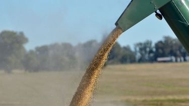 Uno de cuatro dólares exportados tiene que ver con la soja