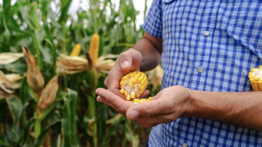 Respuestas para los agricultores.