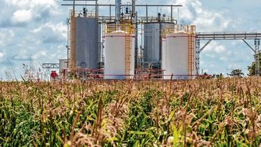 Empieza a aplicarse la nueva regulación en los biocombustibles