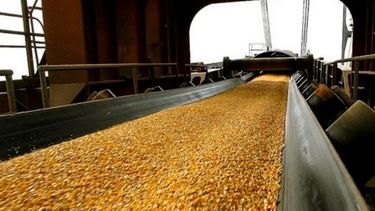 Las exportaciones de maíz alcanzaron un récord en 2019