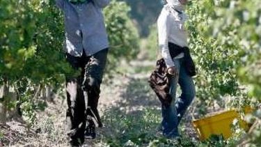 Productos de economías regionales sufren la mayor alícuota de las retenciones