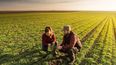 Las perspectivas de la campaña agrícola y las oportunidades que abre la creciente demanda mundial de alimentos.