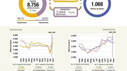 El superávit comercial subió más de 2 por ciento en enero