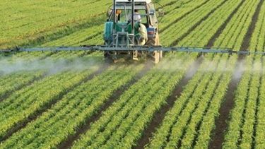 El uso de fertilizantes creció un 4% en la última campaña