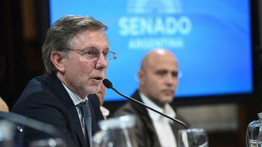 Bahillo conforme con el rendimiento del dólar soja