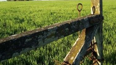 Comienza a aplicarse el régimen de venta y reemplazo para los campos alquilados