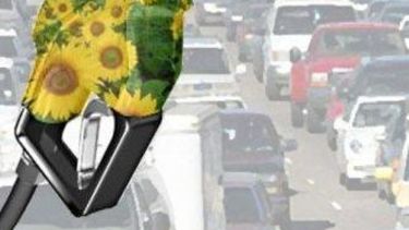 Los biocombustibles de Argentina "ahorran" 5 millones de toneladas de dióxido de carbono