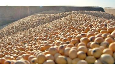 USDA prevé mayores reservas de soja en Estados Unidos