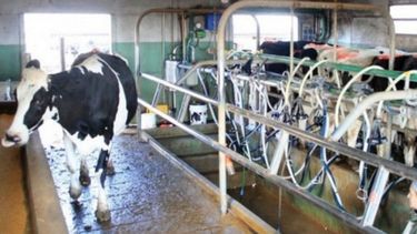 Tamberos ponen en el freezer medida de fuerza para reunirse con el Gobierno