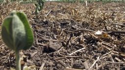 Ampliaron la emergencia agropecuaria en La Pampa