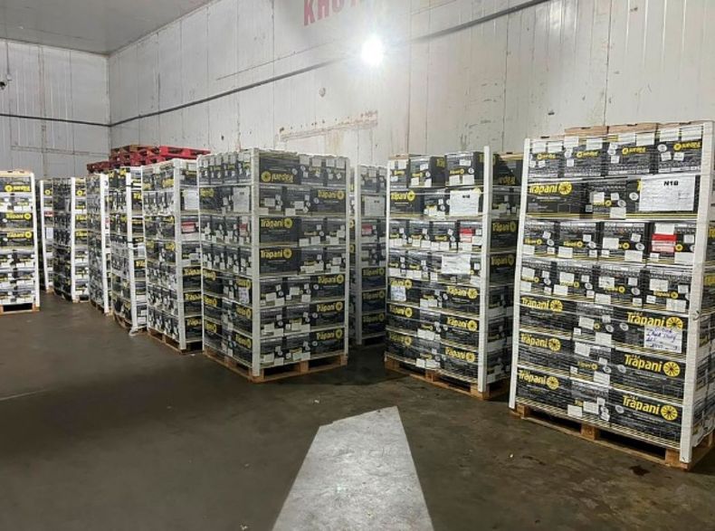 Argentina realizó su primera exportación de limones a Vietnam