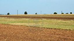La seca en la zona norte del área agrícola ya es un problema