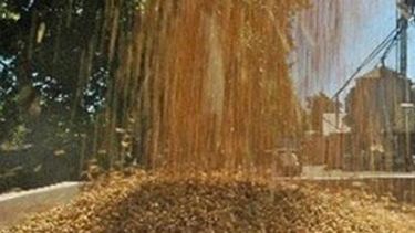 EE.UU. importaría harina de soja en el futuro cercano