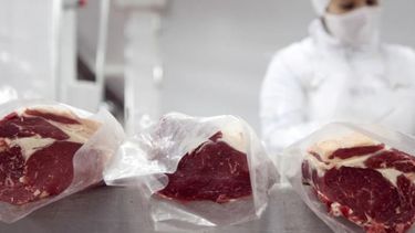 Las ventas de carne al exterior subieron más de 18% en el primer trimestre