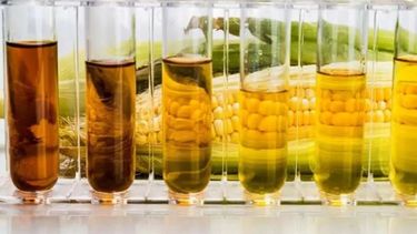 El Gobierno podrá aumentar nuevamente el precio del bioetanol de maíz