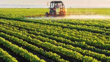 Federación Agraria le pidió al Gobierno apostar a la producción