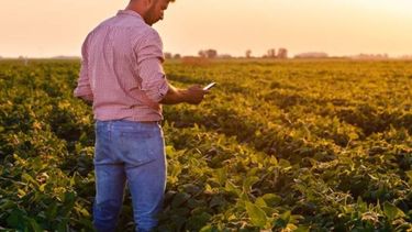 La medición de la huella de carbono en los campos.