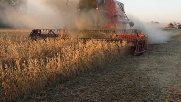 Creció la carga tributaria sobre la renta agrícola