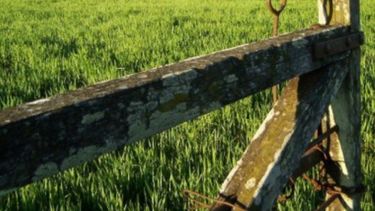 AFIP volvió a retrasar los pagos a productores de devoluciones de IVA