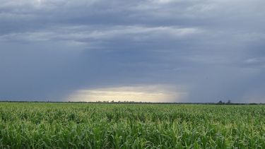 Aumentó el nivel de humedad en la zona núcleo de "La Provincia"