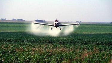 La Provincia restringiría la fumigación rural