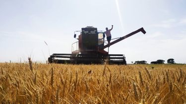 Nueva entidad agropecuaria de pequeños productores