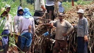 Establecen el seguro de vida obligatorio para el personal rural