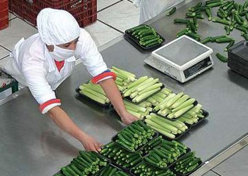 La agroindustria pasó por "dificultades, demoras y elevada capacidad ociosa" en el 2012