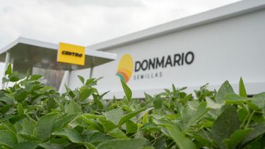 Aprovechamiento del cultivo.