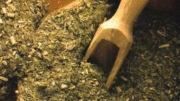 Actualizaron los valores de referencia para la exportación de yerba mate