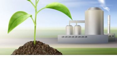 Establecen nuevos precios para los biocombustibles