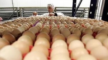 Bronca entre los productores de huevos por quedar fuera de la rebaja del IVA