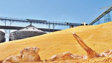 Brasil reduciría un 10% el arancel a importaciones de maíz