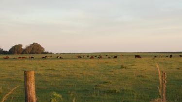 La rentabilidad del campo este año fue casi idéntica a la tasa de inflación