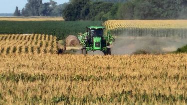 Puesta en marcha de la medida.