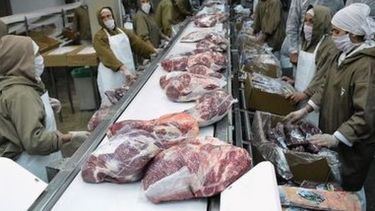 Buscan repartir la cuota de carne del acuerdo UE-Mercosur