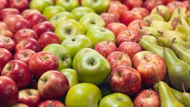 Prolongan tiempo para que productores de peras y manzanas posterguen pagos
