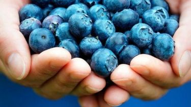 Más críticas a la decisión oficial de aplicar retenciones