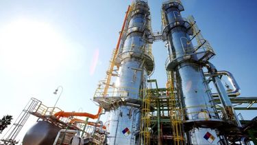 Regulación de la actividad.