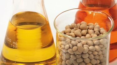 Rigen nuevos valores del biodiesel y el bioetanol