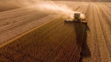 La sequía del año pasado dejó una gran cantidad de hectáreas disponibles que se sumarán a la siembra de soja, explicó la BCR.