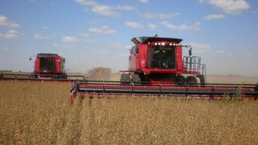 Reportan que el buen clima permitió el avance de la cosecha de soja