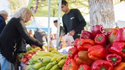 La brecha de precios de los alimentos se agrandó 3,1 veces