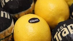 Gigante estadounidense de los cítricos desembarca en Argentina