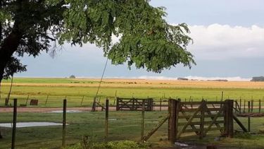 Según la BCR, las lluvias reavivaron las esperanzas de una exitosa temporada de cultivo.
