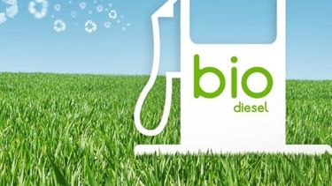 Establecen el nuevo precio para el biodiésel